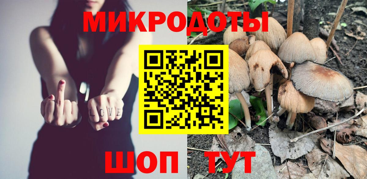 Галлюциногенные грибы Psilocybe Дубна