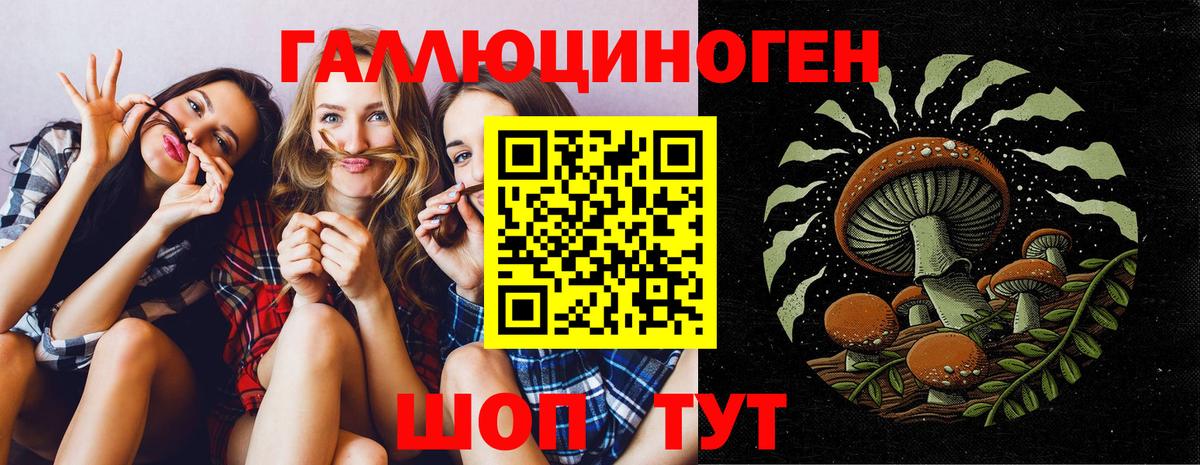 Псилоцибиновые грибы Cubensis  Вход с VPN  Галлюциногенные грибы мицелий  Дубна 